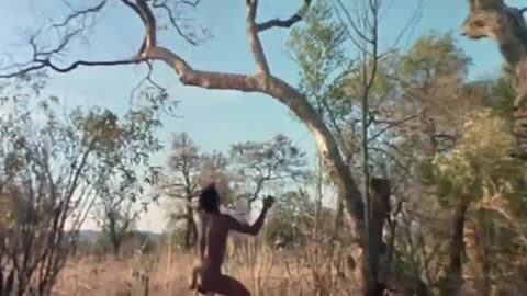 The gods must be crazy funny scene 6 ( 334 X 640 )