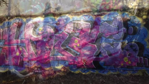 VihtiGraffiti VG49