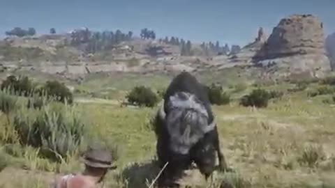 The men catch a mountain cow