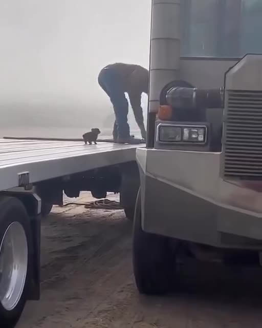 Supervisor making sure work is done correctly 😍