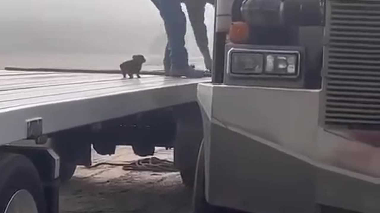 Supervisor making sure work is done correctly 😍