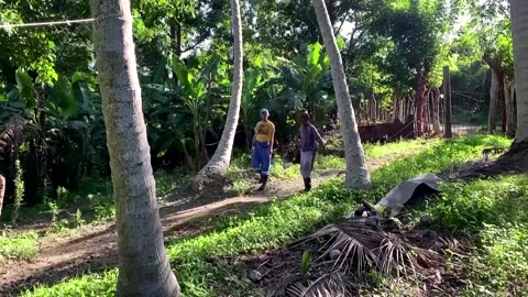 As food shortages fester, Cuban business sources local
