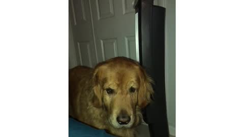 Just 5 more minutes