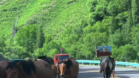The significance of the Ku Highway lies not in anything else, but in oneself.