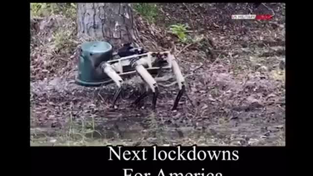 Next lockdowns