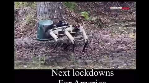 Next lockdowns