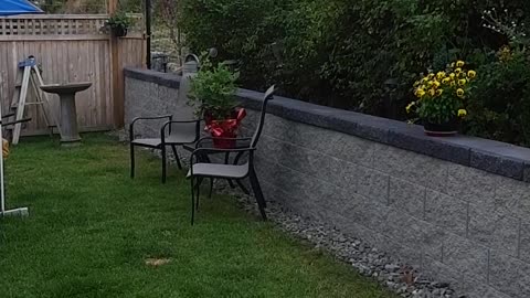The Real Re-taining Wall and Patio