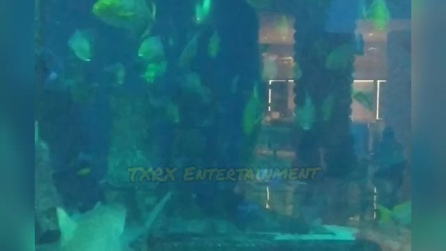 The lost chambers aquarium dubai atlantis
