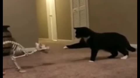 Why did it jump into the trash?