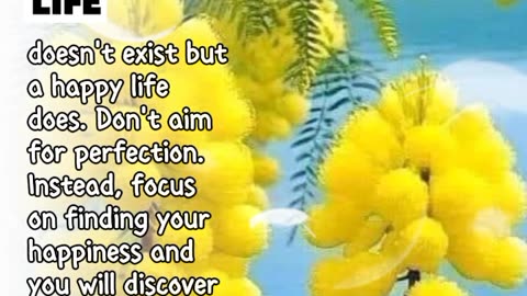 A Perfect Life