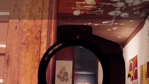 "TELL ME YOU SAW THAT BRO" - Rainbow Six Siege