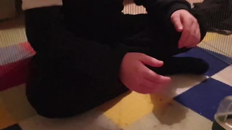 Hamster playing in his cage!