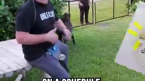 Dog amazing skills in training 👌👌.