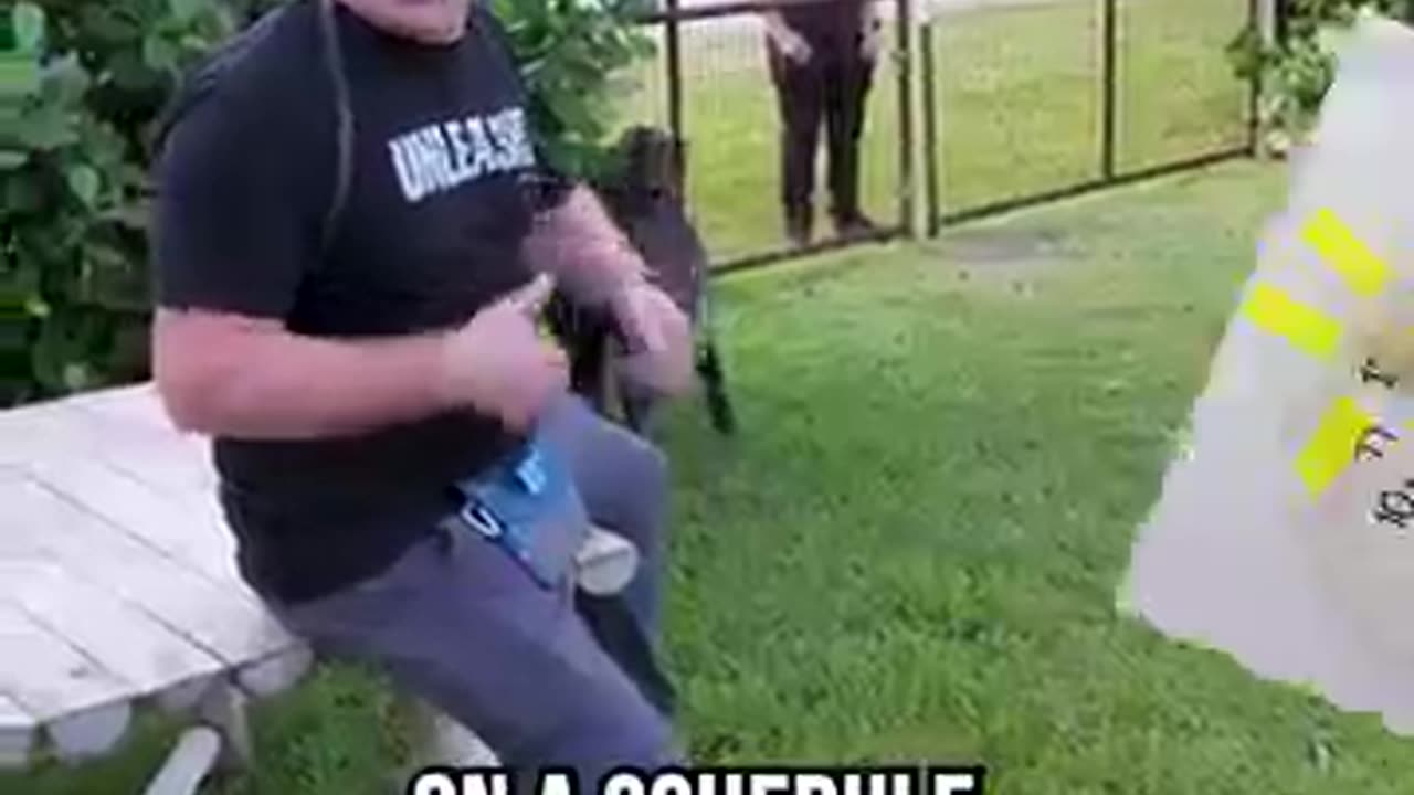 Dog amazing skills in training 👌👌.