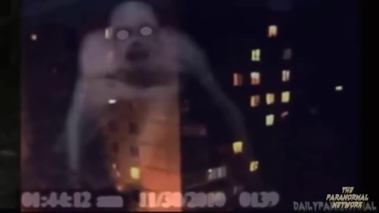 Strange Paranormal Creatures Caught on Tape