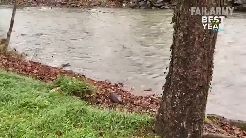 Best fails of the year so far ( 2022 )