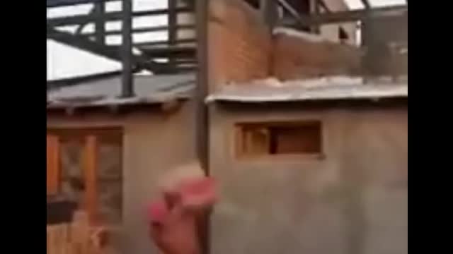 Man fell Hilariouslyð€ªð€£when his coworker thrown cement sack from above