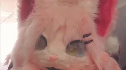 在学校里的毛五