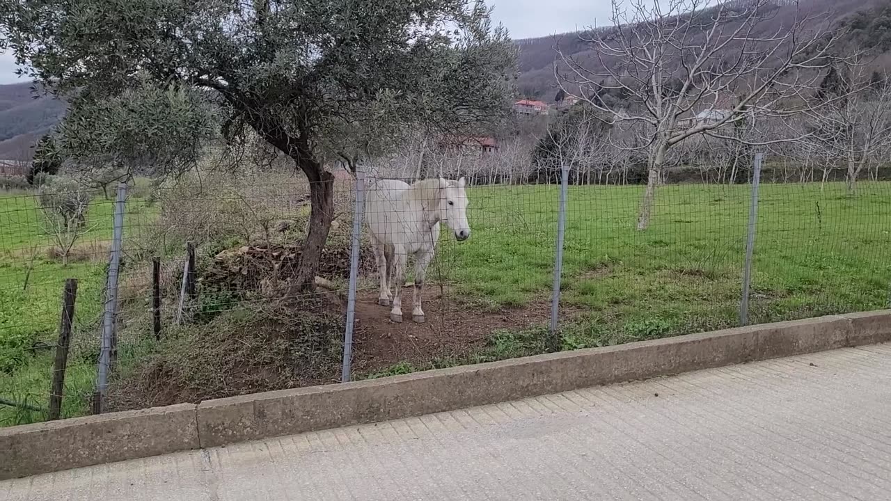 Ziua 4 vizitam capitala Munetlui Athos, Kareia. Ne intoarcem cu vaporul in Uranapolis, apoi Salonic
