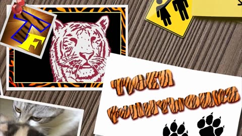 CATS will make you LAUGH YOUR HEAD OFF - Funny CAT compilation