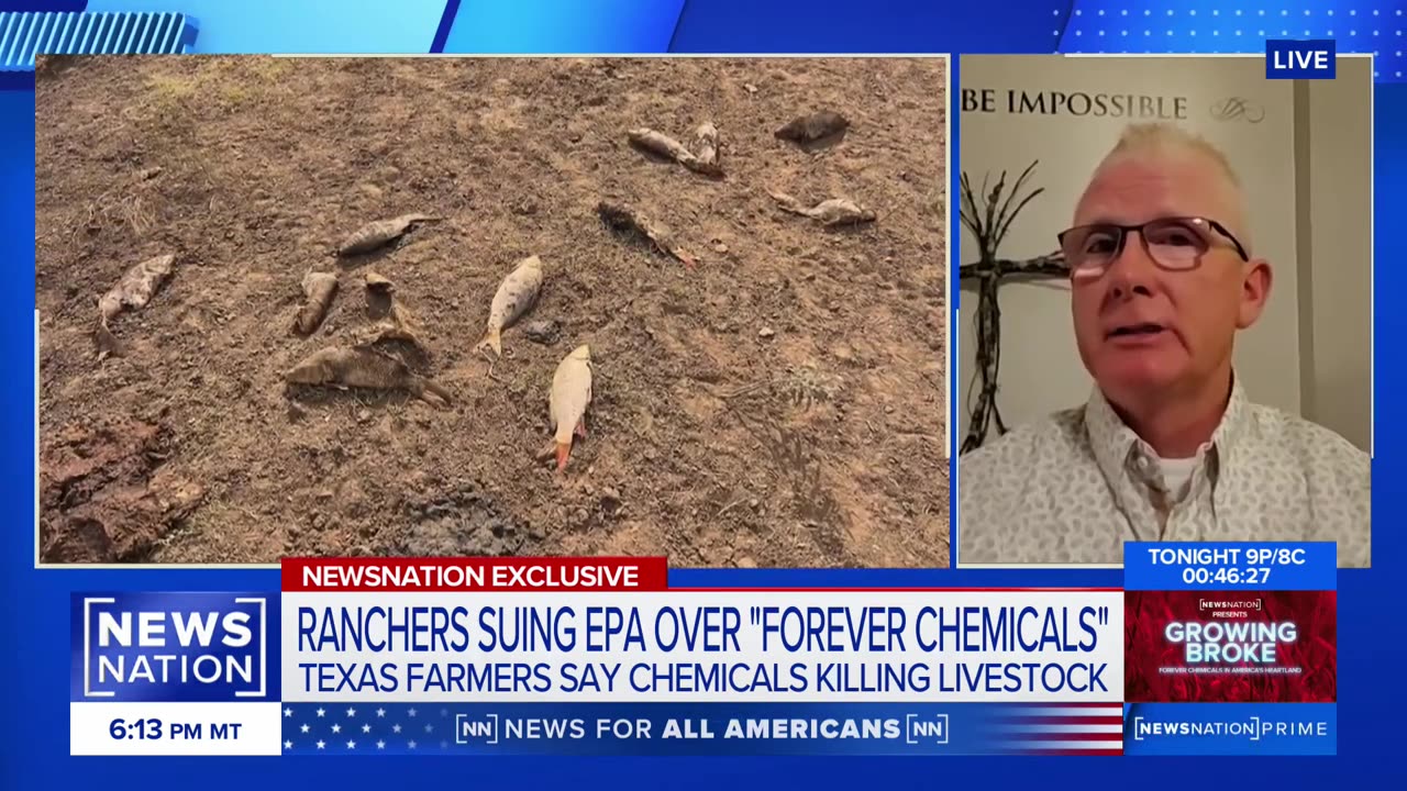 Forever chemicals killed 39 animals, ‘devastated our lives’: Texas rancher | NewsNation Prime