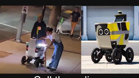 Food delivery robots