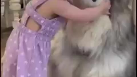 Funny baby and dog(nice video )
