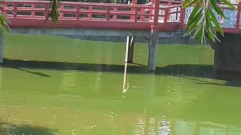 The natural scenery is very beautiful