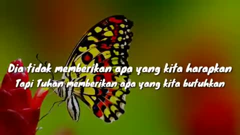 Inspirasi hidup.