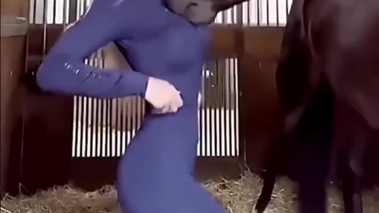 Funny vedios