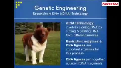 Los Villanos PharmaMafia Genocidas.