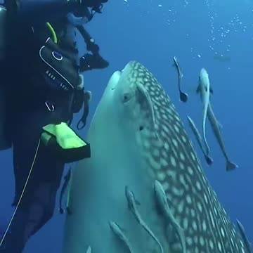 WHAT A BEAUTIFUL TIME