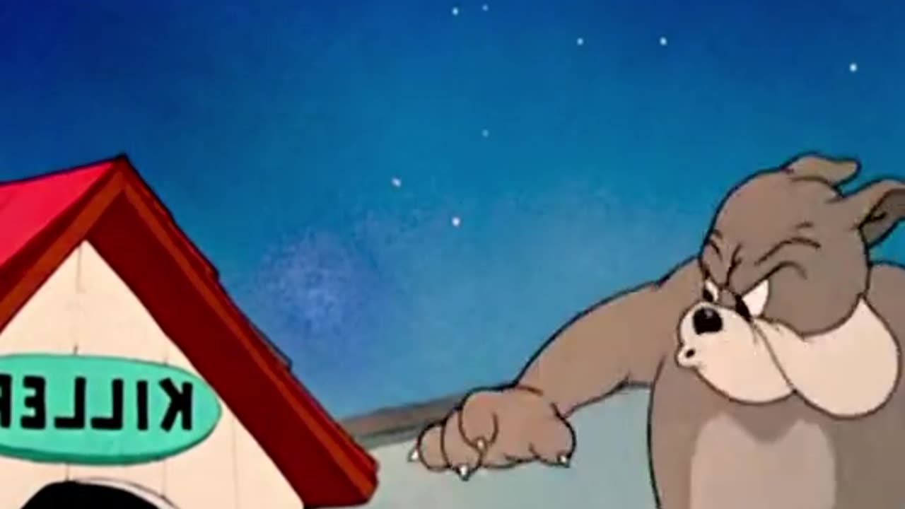 Tom and jerry carton network
