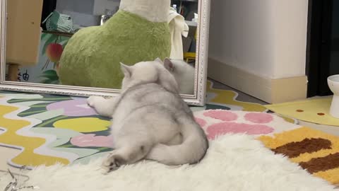 This cat is too inquisitive