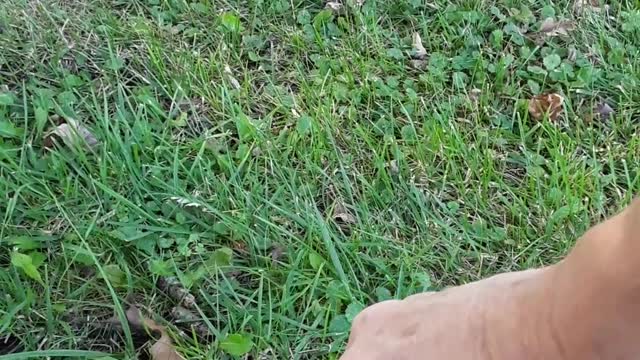 There are other reasons why we have natural disasters. 9/30/22 Wis