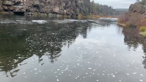 Central Oregon – Steelhead Falls – This River Section would be great for Tubing