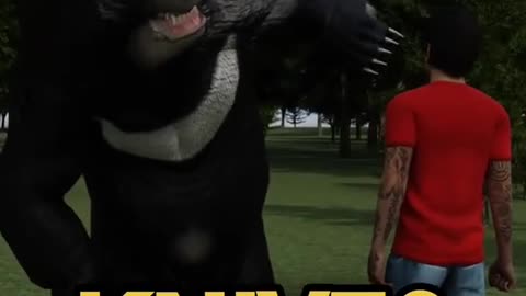 If A Bear Attacks You This Is How Your Save Your Life