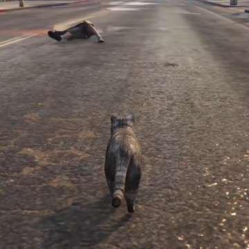 GTA5 Trevor's Transformations