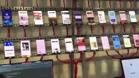 This Is A Bot Farm - DO NOT FEED THEM