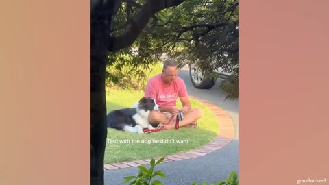 Que bonito es perro