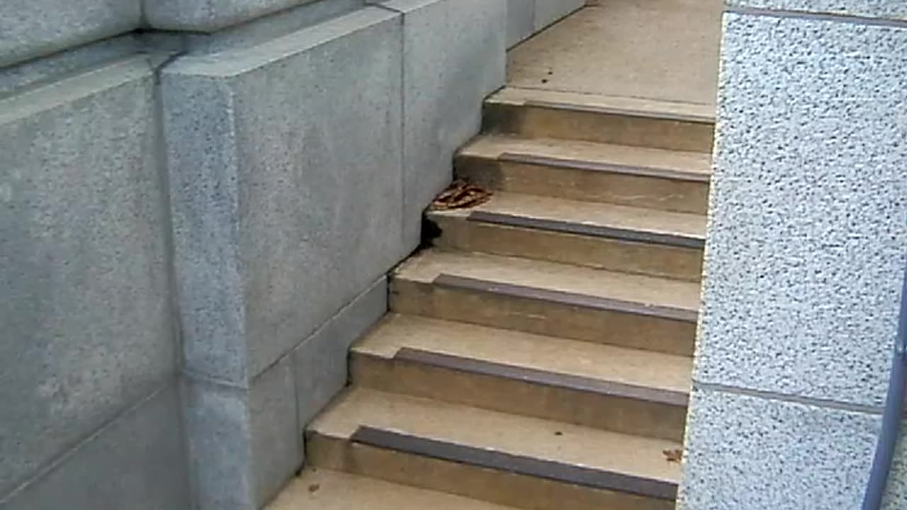 1007RSOBBAOutsideSRB62_2021-01-06_11h00min01s030ms.mp4