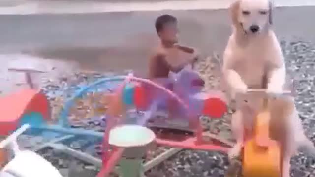 Happy child playing with dog