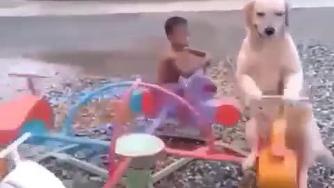 Happy child playing with dog