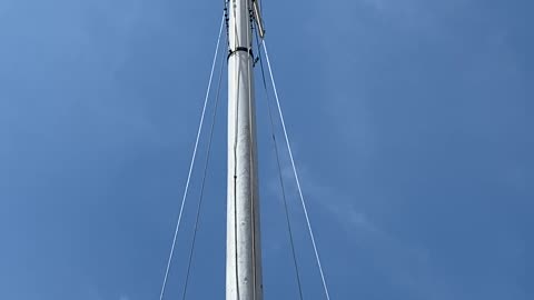 Waving Flag