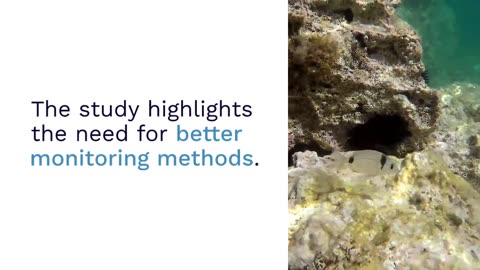 “Invisible Forest”: Hidden Phytoplankton Thriving As Oceans Warm