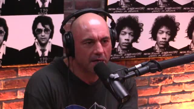 Joe Rogan Experience #958 - Jordan Peterson