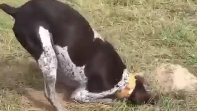 "It's in there somewhere. Let me have another look." Dude Lebowski