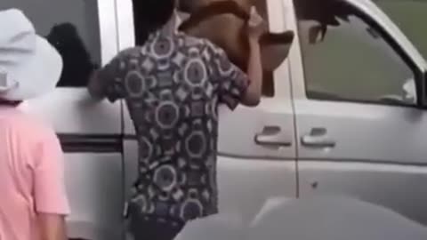 This video compilation is Hella crazy