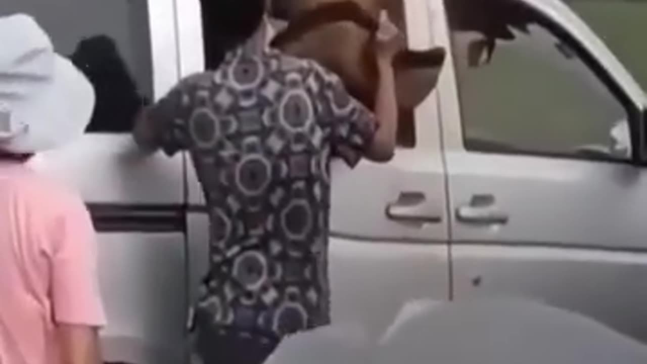 This video compilation is Hella crazy