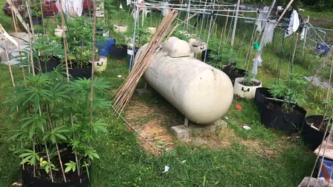 It’s good to be a Biden p 1